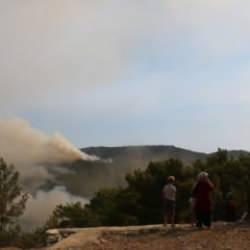 Muğla ve Antalya'daki orman yangınları kontrol altına alındı