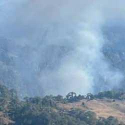 Muğla'da orman yangını: Ekipler müdahale ediyor