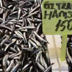Trabzon'da hamsi ve istavrit 150 liradan satışa sunuluyor