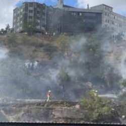 Kağıthane'de ağaçlık alan alev alev yandı