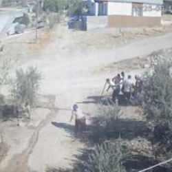 Yer: Şanlıurfa! Su kuyusu kavgasında kan aktı: 2 tutuklu! 