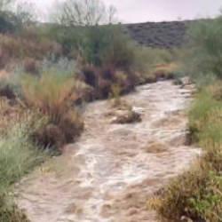 Arizona'da sel 4 can aldı! 