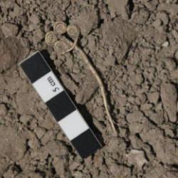 Bakan duyurdu: Son 100 yılın  en önemli buluntuları! Dünyada bilinen 3 örnekten en iyisi..