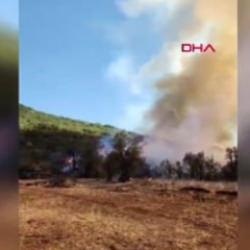 Burdur'da orman yangını