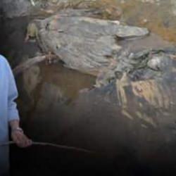 Hakkari'de gizemli vadi! İnsanlara şifa, hayvanlara &ouml;l&uuml;m getirdiği iddia edildi