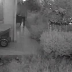 İşlemediği cinayet nedeniyle tutuklanan zanlı tahliye edildi 