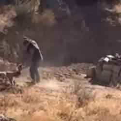 Sivas'ta yavru köpeğe sopayla saldıran ''hayvana'' gözaltı!