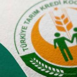 Tarım Kredi Market'te fiyatlar düşüyor! Acele edin ve fırsatı kaçırmayın