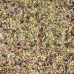 Zabıta denetiminde iğren&ccedil; manzara: Kurtlanmış ve b&ouml;ceklenmiş &uuml;r&uuml;nler ele ge&ccedil;irildi