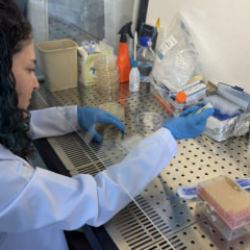 Türkiye bordan yara örtüsü üretti! Artık daha hızlı iyileşme sağlanacak