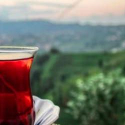 Lipton yaş çay işleme tesislerini Özgür Çay'a devrediyor!
