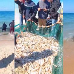Gazze'de sahilde Sumud Filosu bereketi! Katil İsrail ordusunun dikkati dağılmışken...