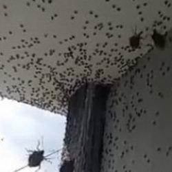 Kabus geri döndü! İki ilçeyi istila etti! Bina adeta renk değişti