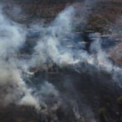 Patlıcan közlerken ormanı yakan şahıs yakalandı