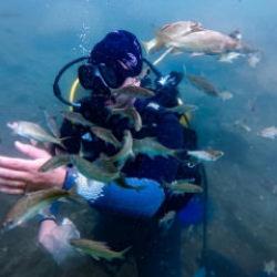 Tarihin izi su altında sürülüyor! İşte böyle görüntülendi