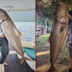 Antalya'da 60 kiloluk balık yakalayan iki arkadaş, kazancın tamamını bağışladı