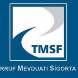 TMSF, Ekotürk TV ve Simya Metal'in ticari ve iktisadi bütünlüklerini satışa sundu