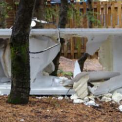 Uludağ&rsquo;da ayılar, tatilcilerin yiyecek bıraktığı 18 baraka ve eşyalara zarar verdi