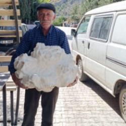 Yayla yürüyüşü sırasında buldu, kendisi bile inanamadı
