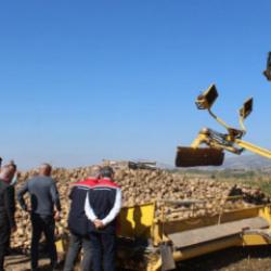 450 bin tonluk hasat bekleniyor! Pancar üretiminde son durum