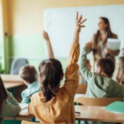 81 ile yazı gönderildi: 7 Ekim Salı günü tüm okullarda düzenlenecek