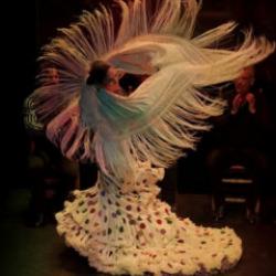 Ankara ve İstanbul'da düzenlenecek flamenko gösterisinin geliri Gazze'ye bağışlanacak