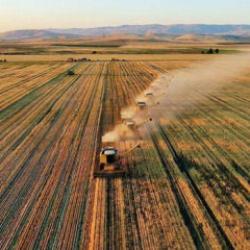 Çiftçilere 320,6 milyon lira destekleme ödemesi bugün yapılacak
