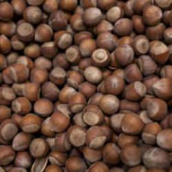 Fiyatlar düştü! Giresun'da fındık fiyatları 300 liraya kadar geriledi