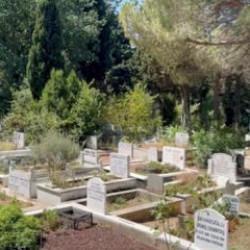 Mezar taşı ustası uyardı: 'Kırıp yakarak imha ediyoruz'