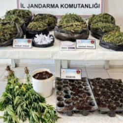 Malatya'da uyuşturucu operasyonu; 5 tutuklama