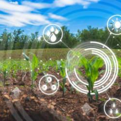 Tarımda 5G dönemi başlıyor!