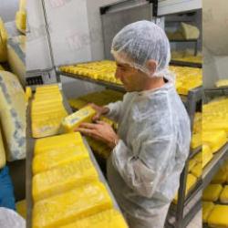 Pakette yazanlar yalan çıktı! Bakanlık 12 peynir markasını ifşa etti