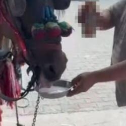 Rezillik! Fayton çeken ata zorla alkol içirdi