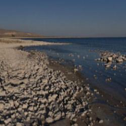 Van Gölü'nde kuraklık alarmı: Sular çekilince ortaya çıkan tablo korkuttu