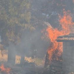 Bucak'ta odunlukta çıkan yangın korkuttu