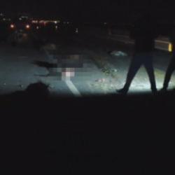 İki araç sürüye daldı: 37 hayvan telef oldu