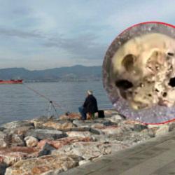 İzmir'de korkunç olay: Oltasına takıldı, hemen ekipleri aradı