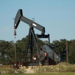 OPEC'in ham petrol üretimi eylülde günlük 524 bin varil arttı