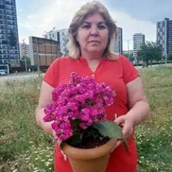 Adana'da 8 milyon 820 bin liralık vurgun! Yöntemleri şeytana pabucunu ters giydirir