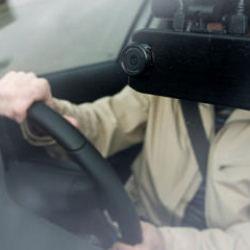 1 ayı geçirene para cezası yazılacak! Tarihler bir bir duyuruldu