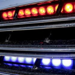 &Ccedil;akar lambayla polis merkezine gittiler, ceza yediler