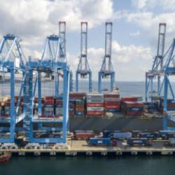 Deniz salyangozu ihracatı 9 ayda 10,7 milyon dolar kazandırdı