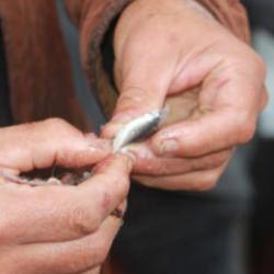 Fiyatı peynir ekmek kadar ucuzladı! Sevinçten çiğ et yediler....