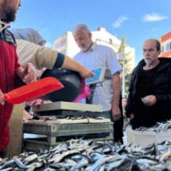 Hamsi 25 liraya düştü, vatandaş sıraya girdi
