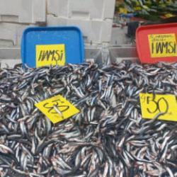 Hamsinin kilosu 50 liraya d&uuml;şt&uuml;, vatandaşlar poşet poşet aldı