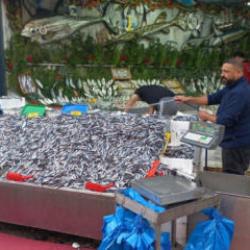 Havalar soğudu, hamsi 100 liraya düştü