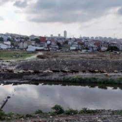 İstanbul'un ortasında korkunç görüntü: Dere siyahlaştı, bölgeye lağım kokusu yayılıyor