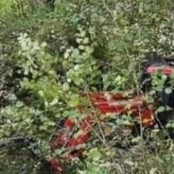 Ordu'da feci kaza! Şarampole devrilen traktörün sürücüsü öldü