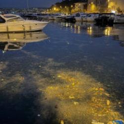 Sarıyer'de denize atılan &ccedil;&ouml;pler kıyıya vurdu