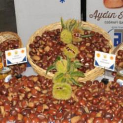 Sezonun ilk kestanesi! 550 TL'den alıcı buldu
